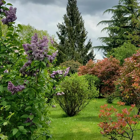 Maison De Paille * Ceton