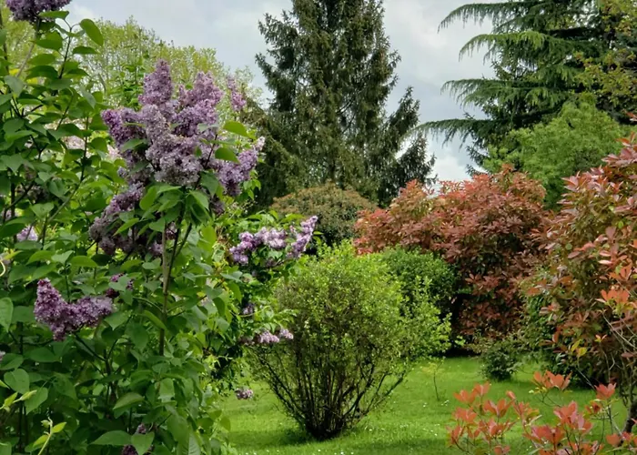 Maison De Paille * Ceton